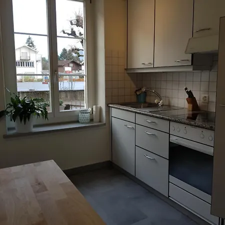 Interlaken Apartment Apartment *